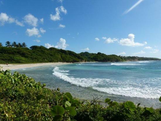 Bungalows Les Vagues Abondes Sainte-Anne (Grande-Terre) Exterior foto